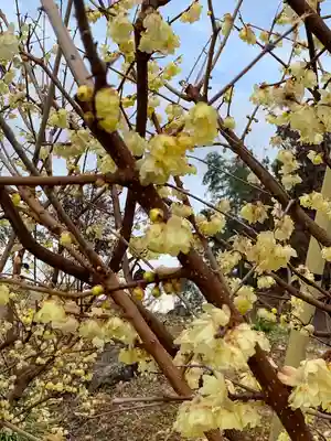 福泉寺(群馬県)