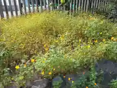 東京羽田 穴守稲荷神社(東京都)