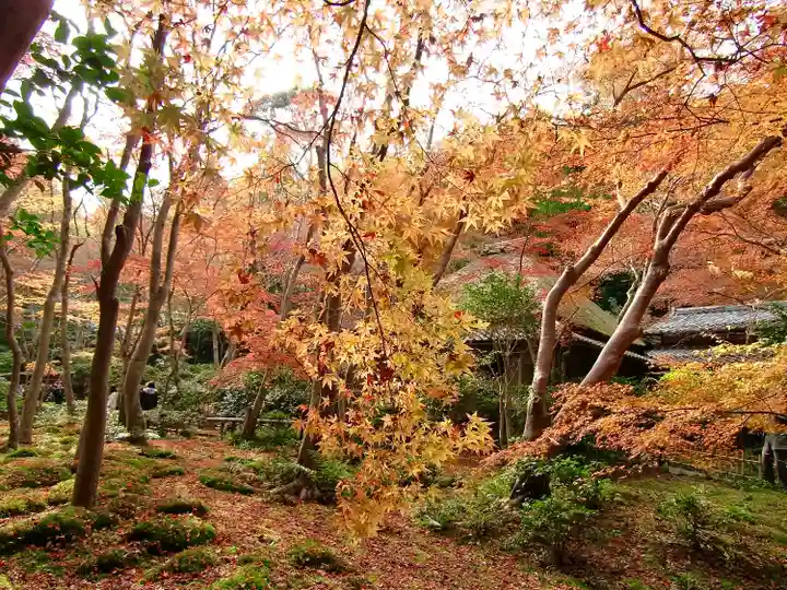 祇王寺(京都府)