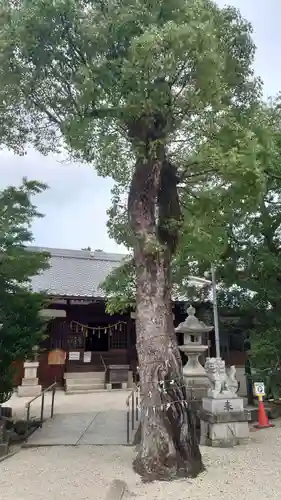 神館神社の自然