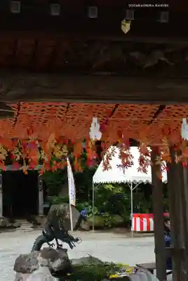 出雲大社相模分祠(神奈川県)