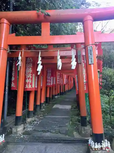 佐助稲荷神社の鳥居