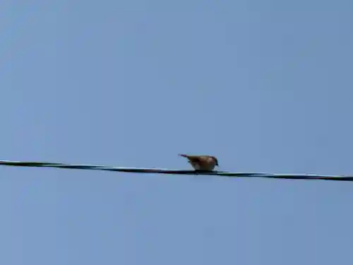 西方山極楽寺(岐阜県)