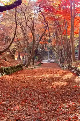 鶏足寺(滋賀県)