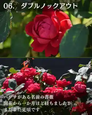 宝光寺(北海道)