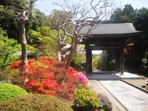 海蔵寺の山門