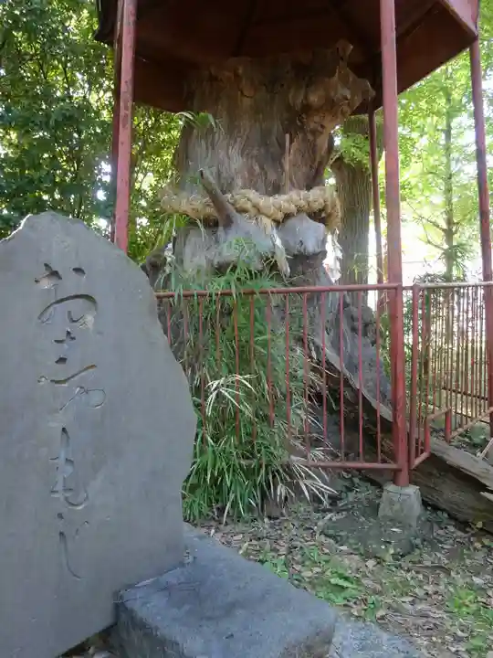 神明大神(中丸子神社)(神奈川県)