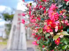 姫嶋神社の自然