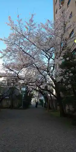 秋葉神社の自然
