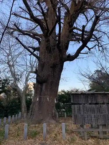 芝東照宮(東京都)