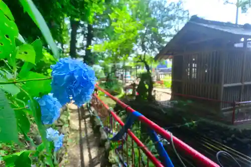 谷保天満宮(東京都)