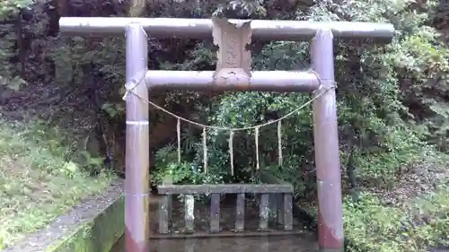 夜刀神社(愛宕神社境内社)の鳥居