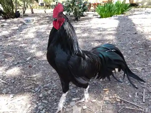 西雲寺(福井県)