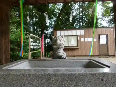 滑川神社 - 仕事と子どもの守り神の手水舎