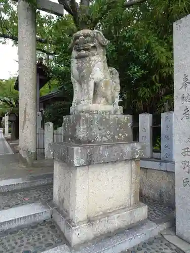 陶荒田神社の狛犬