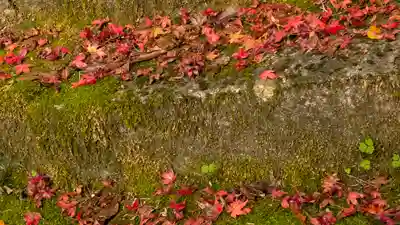 金蔵寺(京都府)