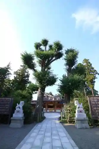 亀ケ池八幡宮の自然