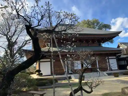 清水寺(東京都)