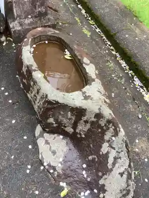 多賀神社（多賀町）の手水舎