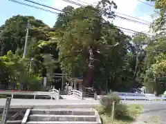 大國魂神社の周辺