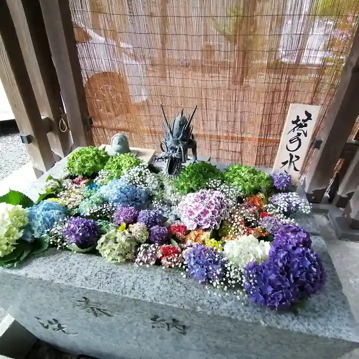 札幌諏訪神社の手水舎