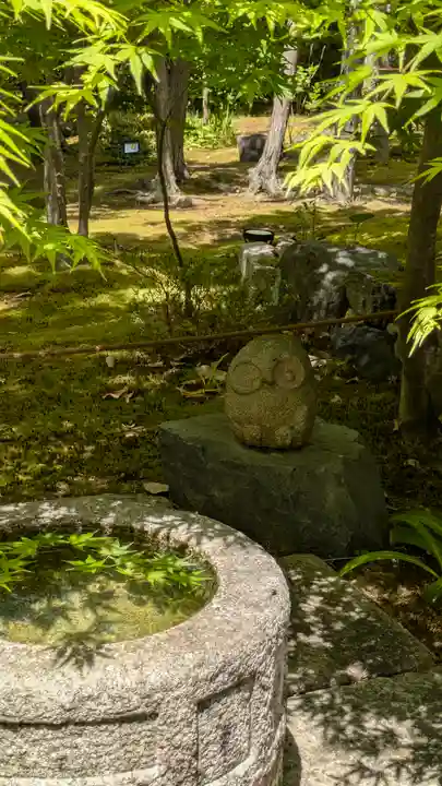 勝林寺(京都府)