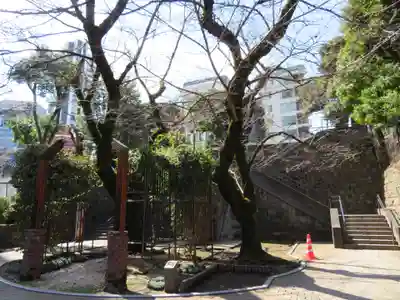 乃木神社の周辺