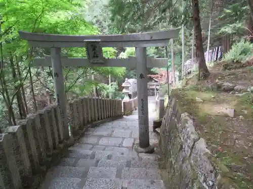 脳天大神龍王院の鳥居