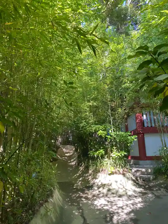 來宮神社(静岡県)