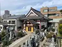 法雲寺の{uncategorized: "未分類", other: "その他", undefined: "問題あり", building: "その他建物", grave: "お墓", sacred_gate: "鳥居", guardian: "狛犬", statue: "像", buddha: "仏像", history: "歴史", nature: "自然", garden: "庭園", animal: "動物", pagoda: "塔", temizu: "手水舎", mountain_gate: "山門・神門", sanctuary: "本殿・本堂", subordinate: "末社・摂社", art: "芸術", scenery: "景色", jizo: "地蔵", ema: "絵馬", goshuin: "御朱印", omikuji: "おみくじ", items: "授与品その他", amulet: "お守り", goshuincho: "御朱印帳", eats: "食事", festival: "お祭り", votive_dance: "神楽", shichigosan: "七五三参", wedding: "結婚式", experience: "体験その他", initially: "初詣", around: "周辺", anti_infection: "感染症対策"}