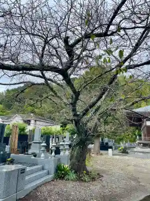 正徳寺(千葉県)