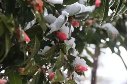 開成山大神宮の庭園