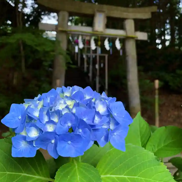 滑川神社 - 仕事と子どもの守り神(福島県)