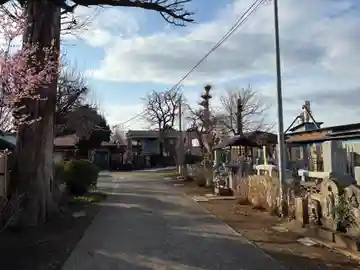 行念寺(千葉県)