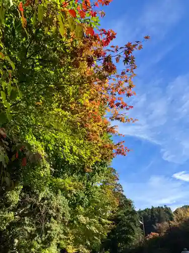高野山金剛峯寺奥の院(和歌山県)