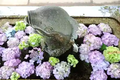 神炊館神社 ⁂奥州須賀川総鎮守⁂の手水舎