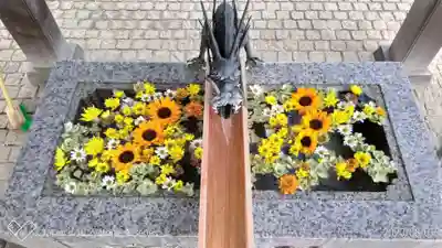 川越八幡宮の手水舎