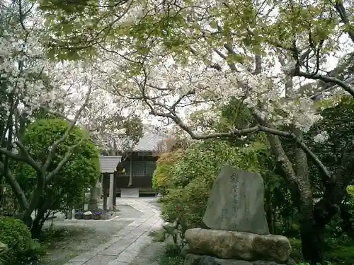 千手院の庭園