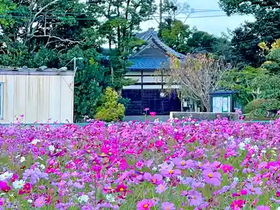 夜夫多神社の本殿・本堂