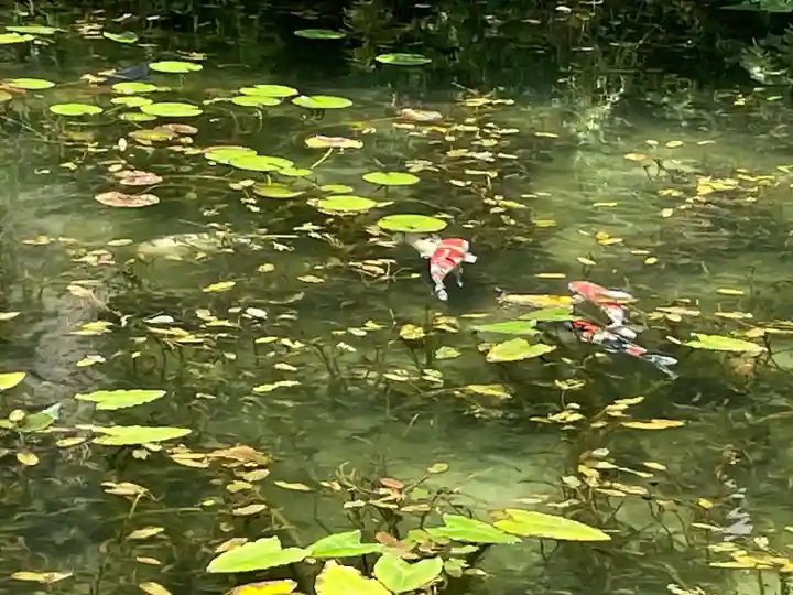 根道神社(岐阜県)
