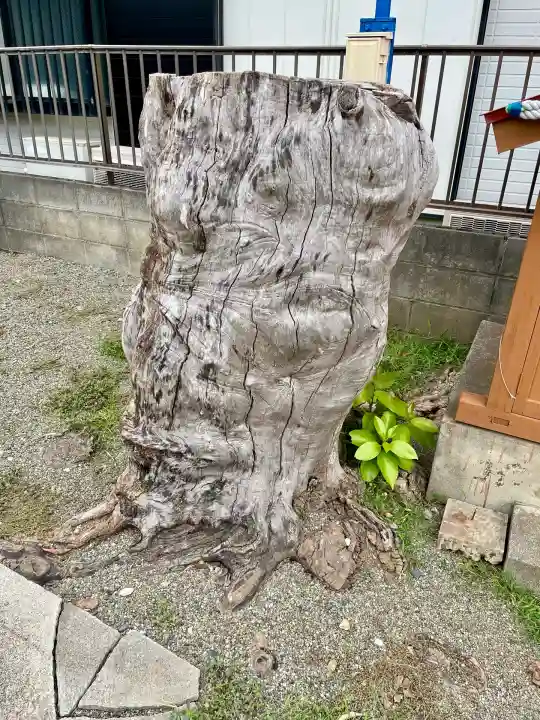 浅間神社(神奈川県)