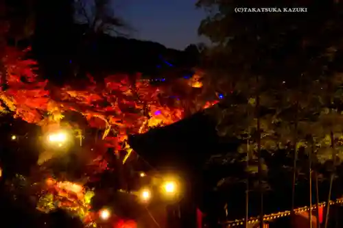 長谷寺(神奈川県)