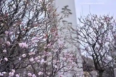 小村井 香取神社(東京都)
