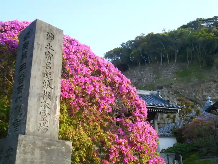 安養院 (田代寺)のその他建物