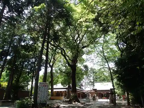 星川杉山神社の庭園