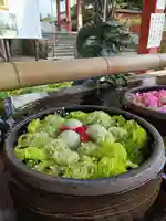 津島神社の手水舎