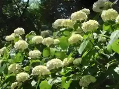 長谷寺(神奈川県)