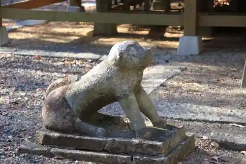 鷲神社の狛犬