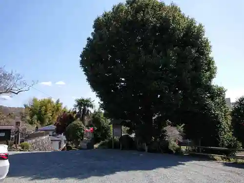 徳雲寺(神奈川県)