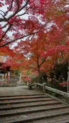鍬山神社(京都府)